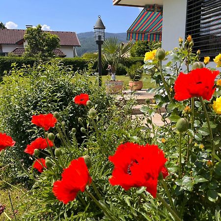 菲拉赫Haus Bergblick公寓 外观 照片