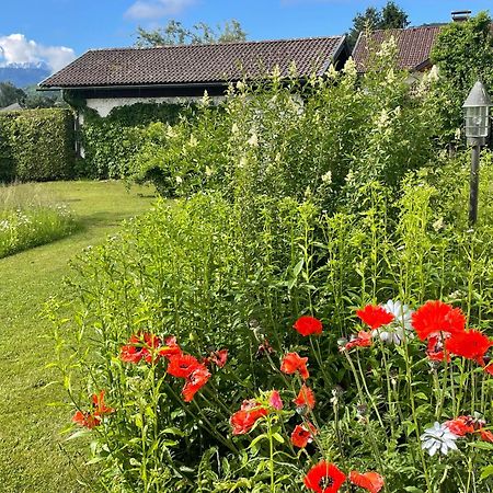 菲拉赫Haus Bergblick公寓 外观 照片